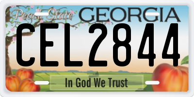 GA license plate CEL2844