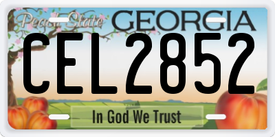 GA license plate CEL2852