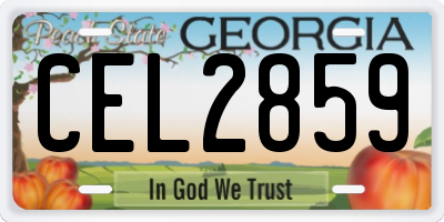 GA license plate CEL2859