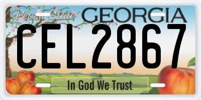 GA license plate CEL2867