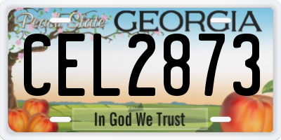 GA license plate CEL2873