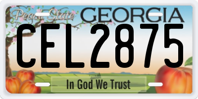 GA license plate CEL2875