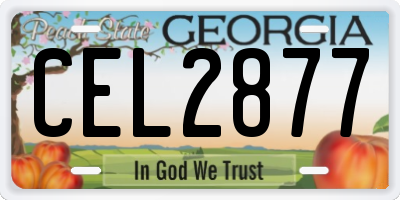 GA license plate CEL2877