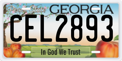 GA license plate CEL2893
