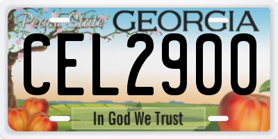 GA license plate CEL2900