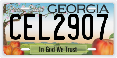GA license plate CEL2907