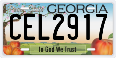 GA license plate CEL2917