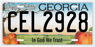 GA license plate CEL2928