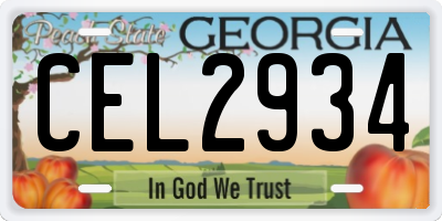 GA license plate CEL2934