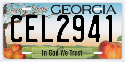 GA license plate CEL2941