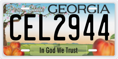 GA license plate CEL2944