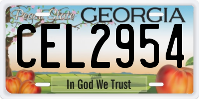 GA license plate CEL2954