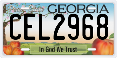 GA license plate CEL2968
