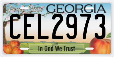 GA license plate CEL2973