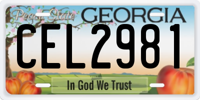 GA license plate CEL2981