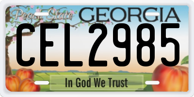 GA license plate CEL2985