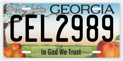 GA license plate CEL2989