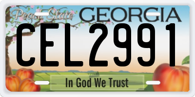GA license plate CEL2991