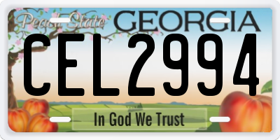 GA license plate CEL2994