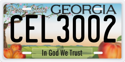 GA license plate CEL3002