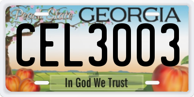 GA license plate CEL3003
