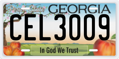 GA license plate CEL3009