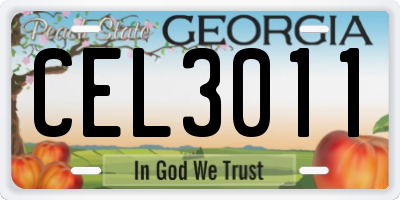 GA license plate CEL3011