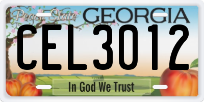 GA license plate CEL3012