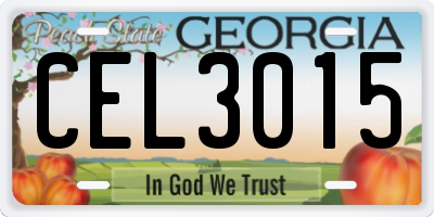 GA license plate CEL3015