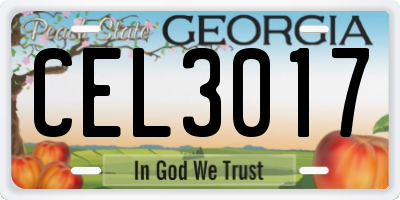 GA license plate CEL3017