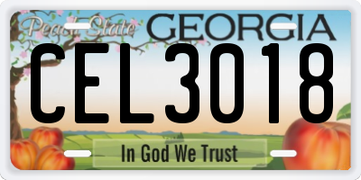 GA license plate CEL3018