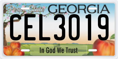 GA license plate CEL3019