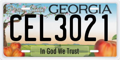 GA license plate CEL3021