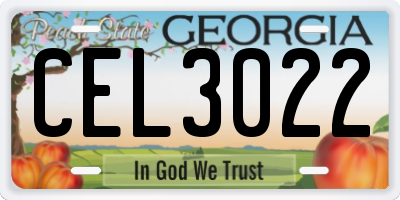 GA license plate CEL3022