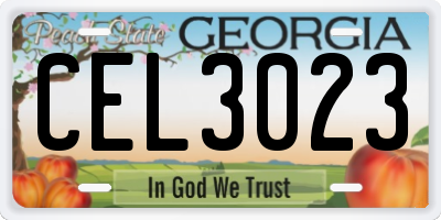 GA license plate CEL3023