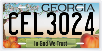 GA license plate CEL3024
