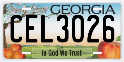 GA license plate CEL3026