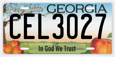 GA license plate CEL3027