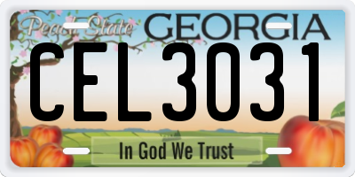 GA license plate CEL3031