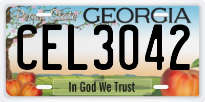GA license plate CEL3042