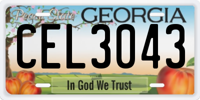 GA license plate CEL3043