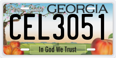GA license plate CEL3051