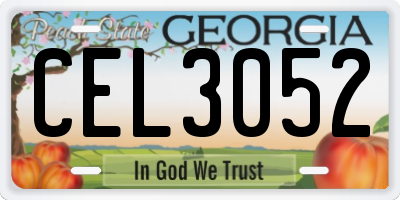 GA license plate CEL3052