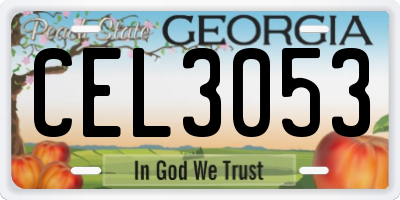 GA license plate CEL3053