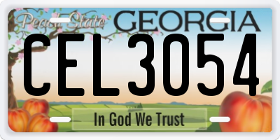 GA license plate CEL3054