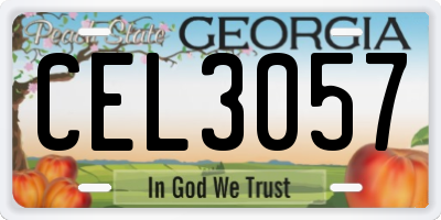 GA license plate CEL3057