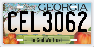 GA license plate CEL3062