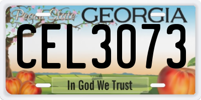 GA license plate CEL3073