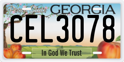 GA license plate CEL3078