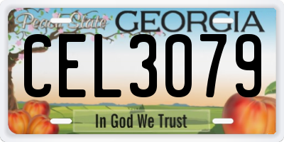 GA license plate CEL3079